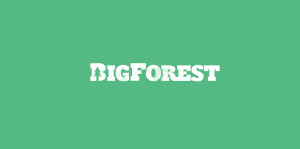big forest logo