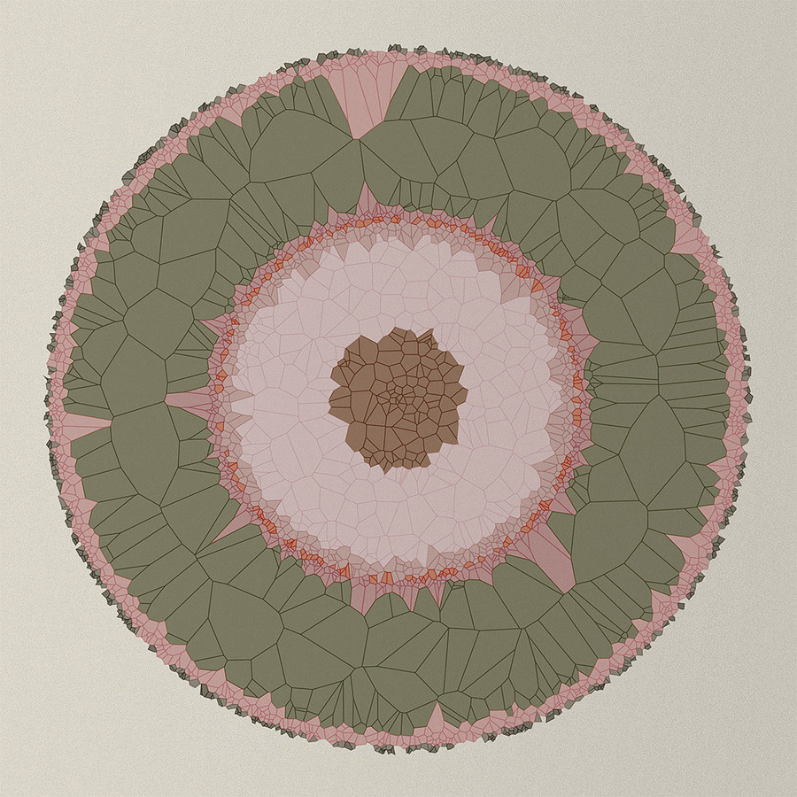 diana-lange-nature-of-code-generative-art